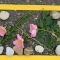 3a_Naturbilder